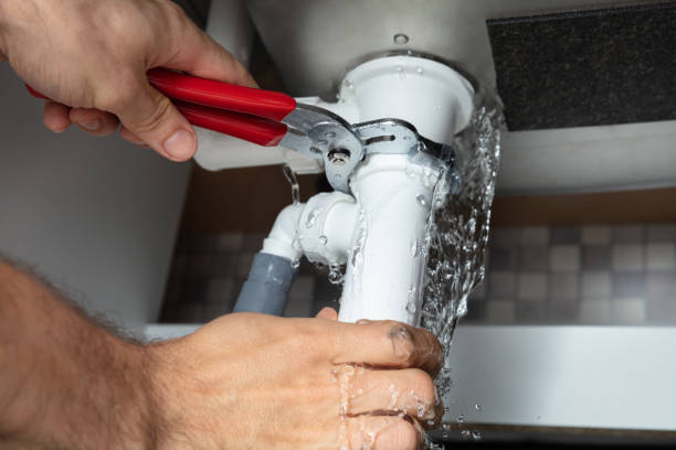 Best Water damage restoration specialists  in Windham, OH
