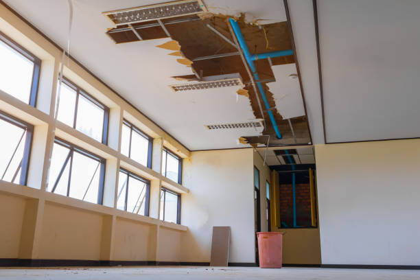 Best Water damage contractors near me  in Windham, OH