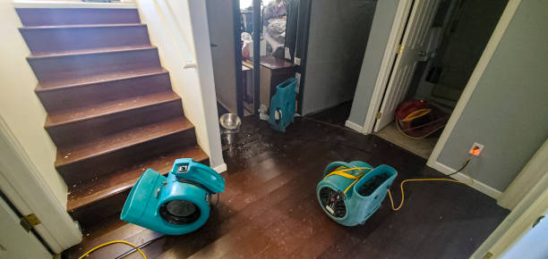 Best Ceiling water damage repair  in Windham, OH