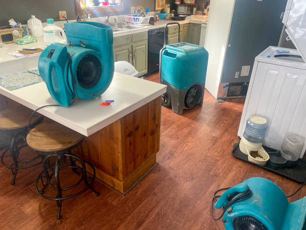Best Local water damage restoration  in Windham, OH