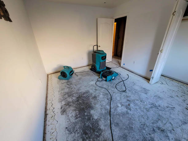 Best Carpet water damage restoration  in Windham, OH