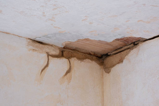 Best Water damage restoration near me  in Windham, OH