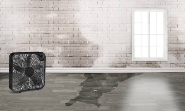  Windham, OH Water damage restoration Pros