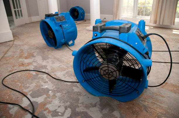 Best Basement water damage restoration  in Windham, OH