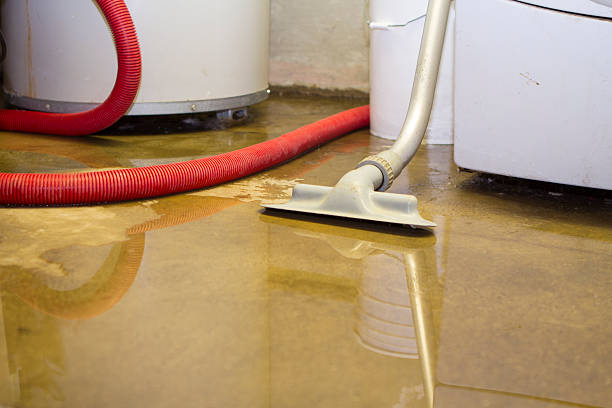 Best Water damage restoration process  in Windham, OH